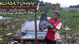MANCING CIRATA‼️sangat menegangkan full strike ikan nila semua sampai sebanyak ini