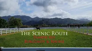 Tamber Bey in Napa Valley Extra Barry Waitte talks Burgundy and Rhone Style Wines