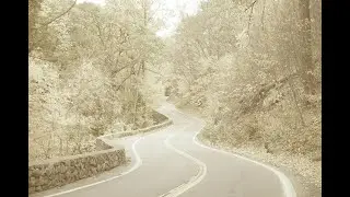 RUSTIC ROAD - (Lyric Video)