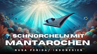 Schnorcheln mit Mantarochen in Nusa Penida | Indonesien Unterwasserabenteuer