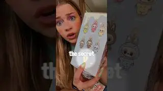 MASSIVE LABUBU HAUL/ UNBOXING! *secret one*
