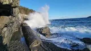 Middle cove beach Logy bay