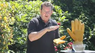 Gold Leaf Winter Touch Gardening Gloves