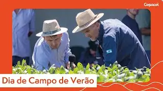Ganho de produtividade pela pesquisa de cultivares é destaque do 35º Dia de Campo Copacol