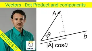 Vectors Dot Product and Components | Class XI | Class 11 in Hindi
