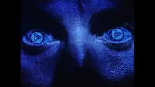 HVMVN / Your Last Day