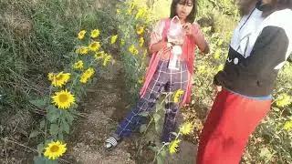 Nihawipar(Sunflower)Hmunah family vlog #KVK Kolasib. Mizoram