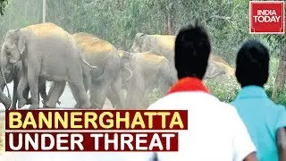 Eco-Senstitive Zones Curtailed In Bannerghatta? B'luru Citizen Raises Alarm | News Today