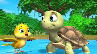 # bby bird and tortoise story