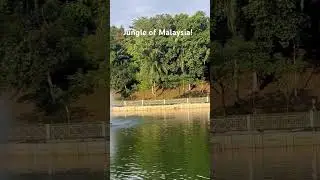 Yeah it is jungle, preserved and where we live !