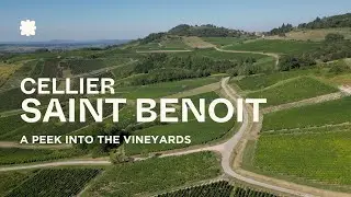 Cellier Saint Benoit Vineyards | Pupillin, Jura 🇫🇷