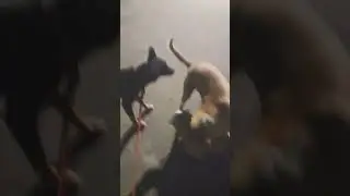 buddy's meet up