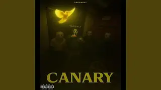 Canary