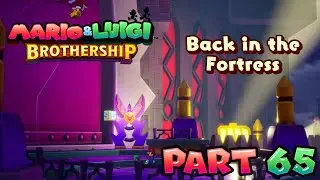 Invading Fortress Zokket... Again | Mario & Luigi Brothership #650