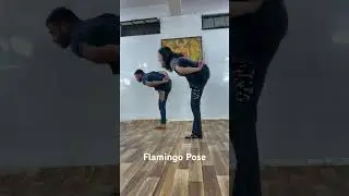 Flamingo Pose | Yoga