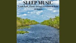 Sleep Music Synth Pads, Piano, Strings, Crickets and Rain
