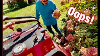 EQUIPMENT GETS STUCK! More fall lawn restorations done with the Toro Stand on Aerator