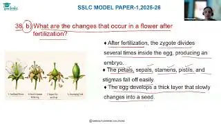 Model Question paper 1 - Science  - EM - Qno 38B