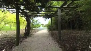 Quadcapture Miyazu