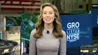 NYSE: Check Out Today's PRE-MARKET UPDATE for December 18, 2024