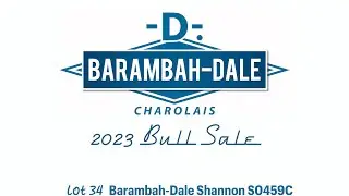 Lot 34 Barambah Dale Shannon S0459C