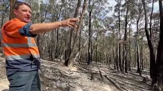 Bushfire Mitigation in Glenorchy