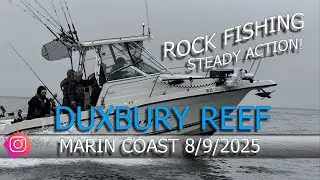 Fishing Along The Marin Coast With A Subscriber Following Us Around For Action