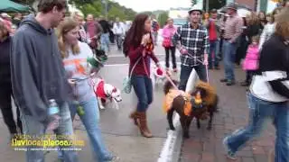 Jackson Oktoberfest 2014 @ Uptown Jackson, MO