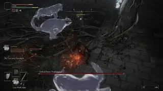 ELDEN RING's Mini Boss - Erdtree Burial Watchdog Cheese Kill 🧀
