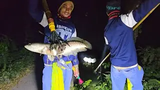 দীর্ঘদিন পরে  মাছ শিকারে | Traditional fishing |  পর্ব ১৬ | Mamun | Megh| Fishing method Bangladesh 