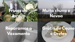 Rotina Com Muita Chuva & Receitas