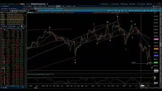 S&P 500 / Elliott Wave Daily Update 1/20/2025 by Michael Filighera