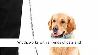 Mogoko Metal Dog Leash Heavy Duty Chew Proof Pet Leash Chain with Padded Handle for Outdoor Training