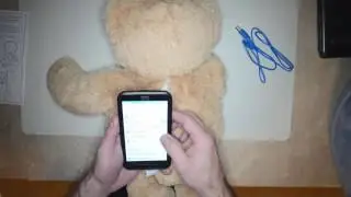 Easy Connect BlueBee Pal to BlueTooth