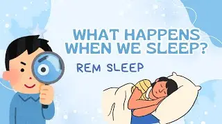 The Surprising History of REM Sleep