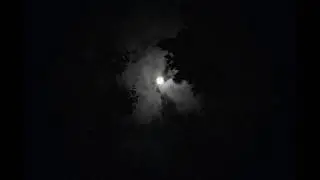 Sulphuric Night - Endless Night