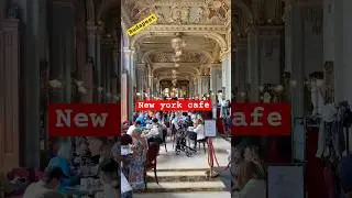 #newyorkcafe #europe #budapest #entertainment #travel #coffee #royal #viralvideo #trending #shorts