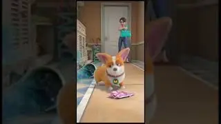 moco dog ki shamat I