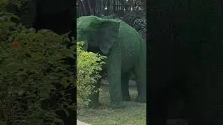 New Look of Biju Patnaik Park Cuttack -Odisha's Biggest Park #viral