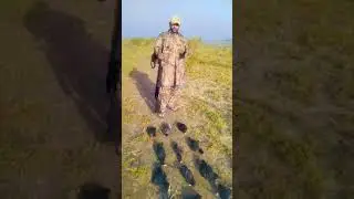 Amrican Coot Hunting in Ramazan | Bird Hunting Videos | #birdhunting #shortsfeed #shorts
