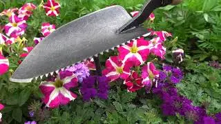 DeWit&reg; Tuinschepje met gekartelde snijkant
