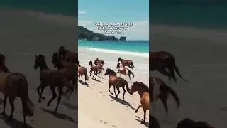 Nihi Sumba Luxury Resort in Indonesia