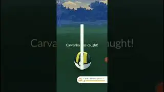 Incredible! Daily Incense Caught Me a Gorgeous Shiny Carvanha in Pokemon Go