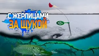 10 января 2026 г.