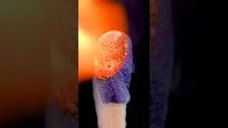 Macro ASMR Showdown Matchstick Meets Tweezer Close-Up