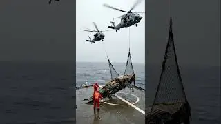 Incredible moment helicopters airlift a giant whale 🐋#amazing #rescue #shorts