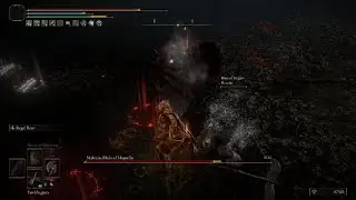 ELDEN RING old fun - Malenia double stabby stabby w/ Iluvatar