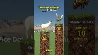 Comparison How Many      To KiII You #comparison #data #animals  #usa