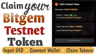 Get FREE Bitgem Testnet Tokens NOW and Join Bitgase Airdrop Season 1