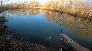 Quick bass fishing trip Feb 11th..only caught a few small ones but that ALWAYS beats watching tv!